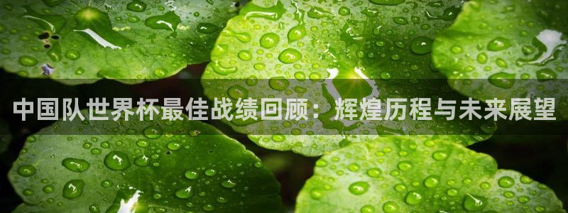 世界杯2026比赛时间表:中国队世界杯最佳战绩回顾:辉煌历程与未来展望