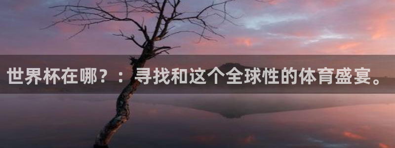 2026世亚预赛赛程表:世界杯在哪?:寻找和这个全球性的体育盛宴。