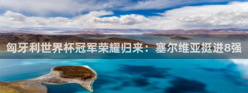 欧洲区世界杯预选赛:匈牙利世界杯冠军荣耀归来:塞尔维亚挺进8强