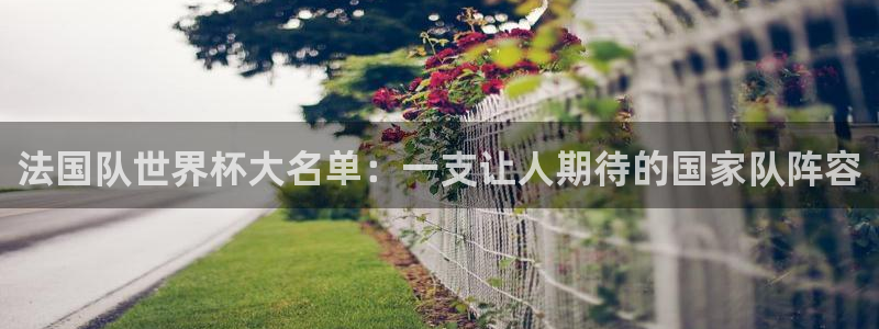 世界杯赛程2026:法国队世界杯大名单:一支让人期待的国家队阵容