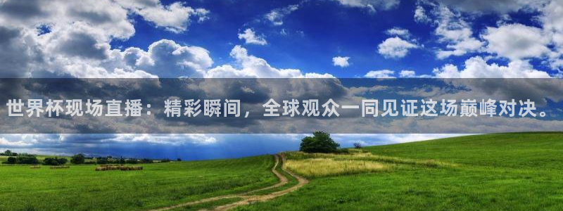 世界杯欧洲区预选赛:世界杯现场直播:精彩瞬间,全球观众一同见证这场巅峰对决。
